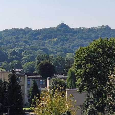 Apartament Salwator Falata Kraków Zewnętrze zdjęcie